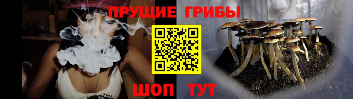 Галлюциногенные грибы Psilocybe  Вход с VPN  наркошоп  Малоярославец 